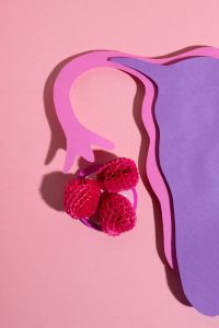 Immagine colorata che rappresenta il tumore ovarico