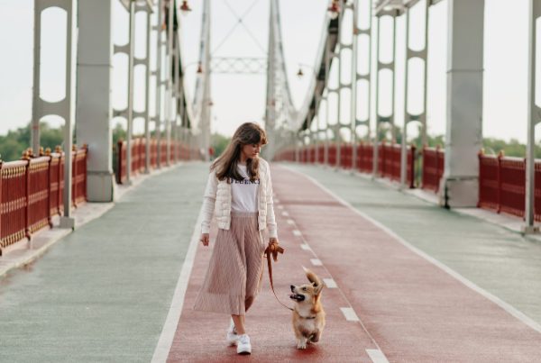 passi, Pico glicemico: una donna porta a spasso il cane sul ponte
